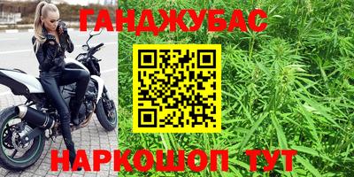 гидра Тара