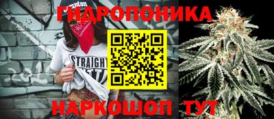 гидра Тара
