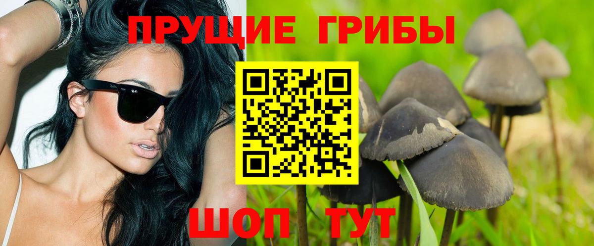 Псилоцибиновые грибы GOLDEN TEACHER  Вход с VPN  Галлюциногенные грибы Magic Shrooms  Фурманов 
